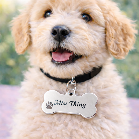 Custom Laser Engraved Miss Thing Signature ID Dog Tag