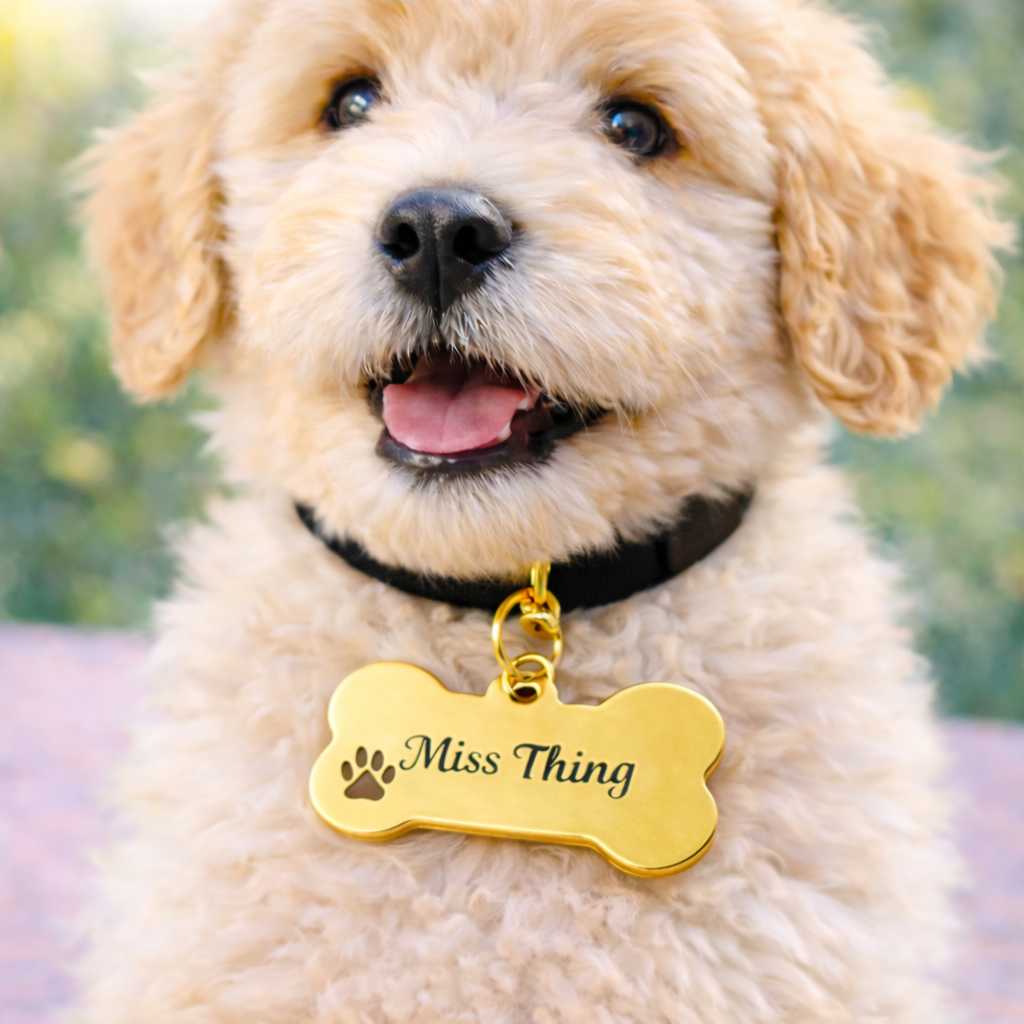 Custom Laser Engraved Miss Thing Signature ID Dog Tag